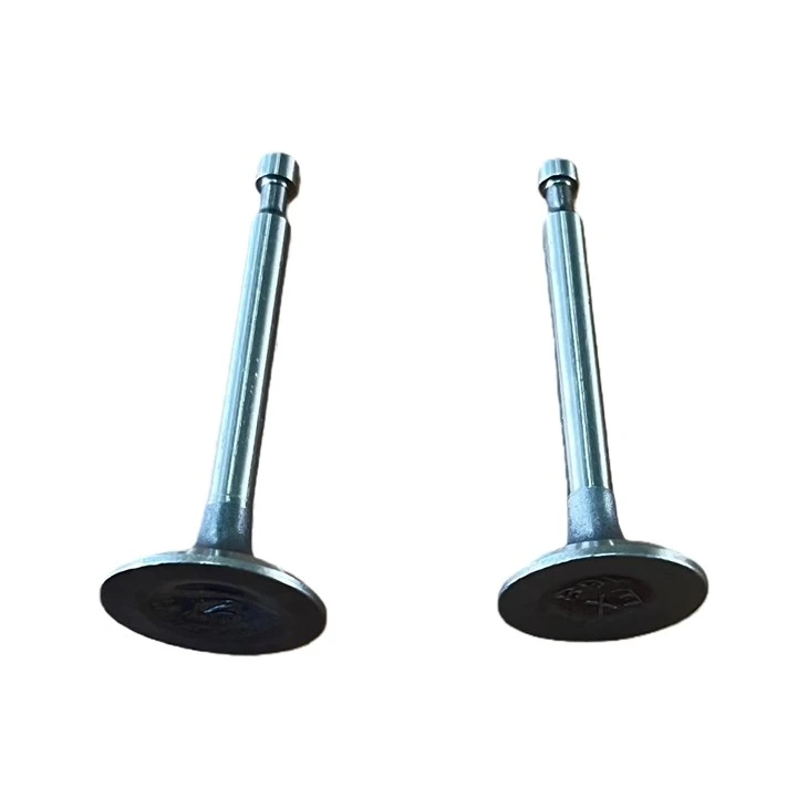 Water Pump Intake ＆ Exhaust Valve suppliers